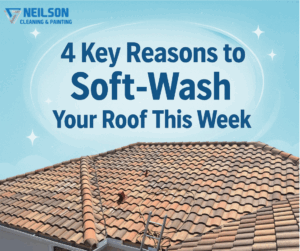 Roof Soft Wash Neilson Cleaning and Painting